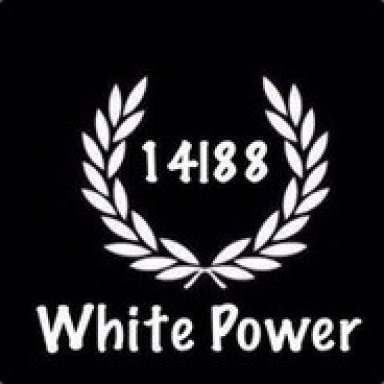 Что обозначает 14 88. White Power 1488. Надпись 14 88. White Power обои. Эмблема 1488.